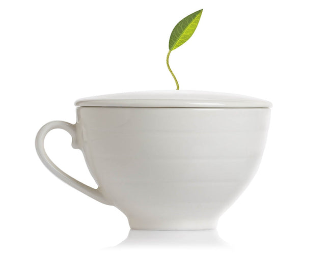 カフェカップ×2客セット - 紅茶ギフト専門店ティーフォルテ