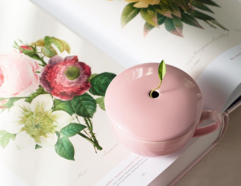 CAFÉカップ（ローズピンク） 紅茶専門店 Tea Forté － ティーギフトの通販