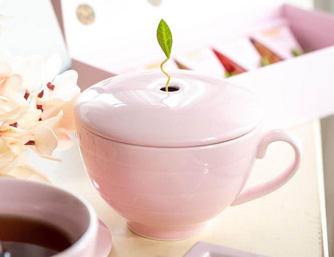 カフェカップ(ローズピンク)×2個セット - 紅茶ギフト専門店ティーフォルテ
