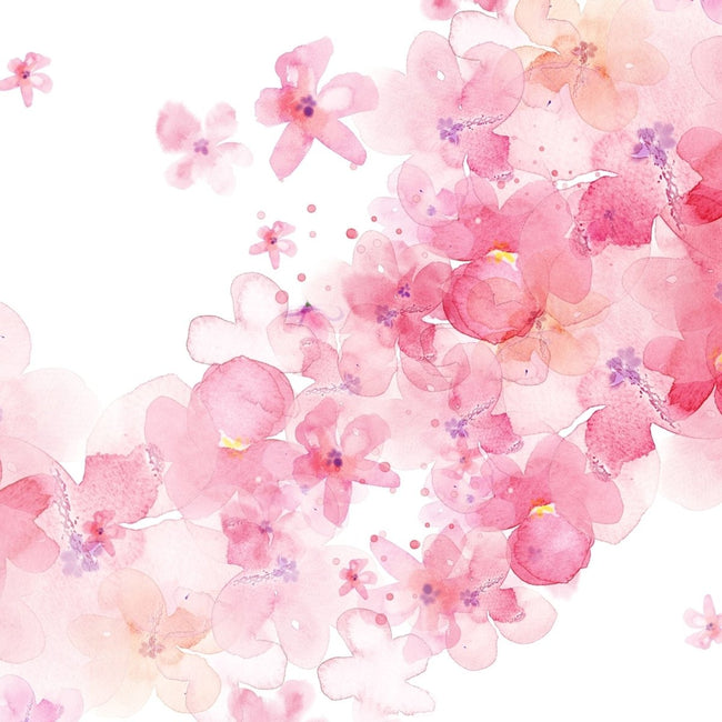 （セレクト５用）化粧箱デザイン - 紅茶ギフト専門店ティーフォルテ